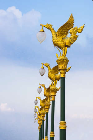 Many the golden swan lamp on electricity in Thailand, on the sky's the backdrop.の写真素材