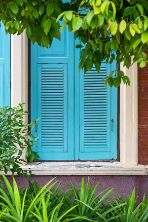 Green wooden door on the brick wall.の写真素材