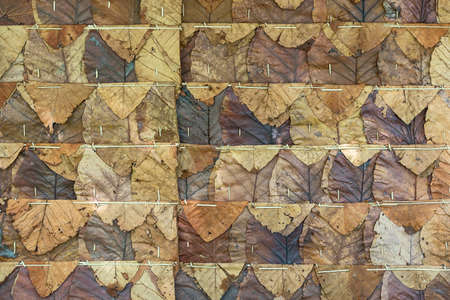 Wall made from dry leaves in the countryside of Thailand.の写真素材