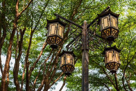 lamp post in the background of the tree.