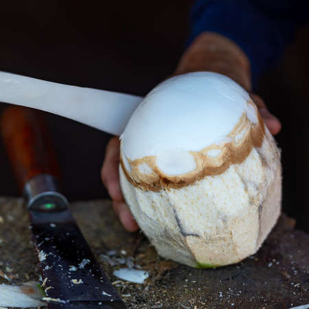 Old man using knife peeling fresh coconut,Selective focus,Fresh green coconut with Served.の写真素材