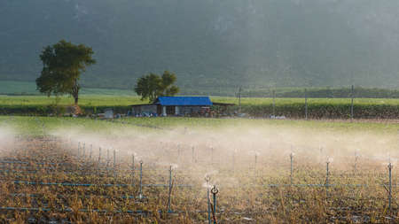 Watering springer, The movement of water springer in the farm sugarcane.