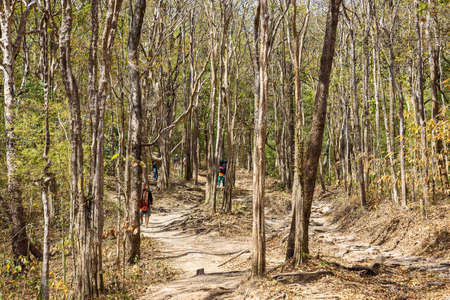 Hiking trails of tourists in Thailand.の写真素材