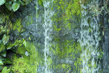 Flow artificial waterfall in the garden.