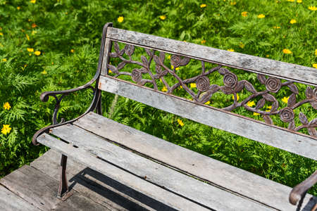 Old wooden chair in the flower garden (Cosmos flowers) outdoors in the green gardenの写真素材