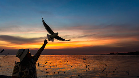 Bang Pu, Thailand. 19 December 2020: Woman hand-delivering food to seagull flying in the summer sky in Bang Pu, Thailand.のeditorial素材