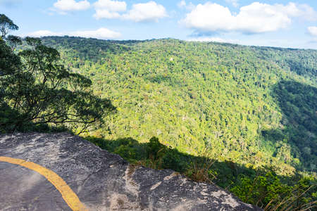 Beautiful scenery of tropical rainforest at Pha Diao Dai in Khao Yai National Park in Thailand, tall green trees in the mountains, blue sky and cumulus clouds.の写真素材