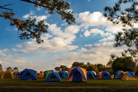Tent large number of tourists, At Phu Kradueng National park, Beautiful landscape during sunset.の写真素材