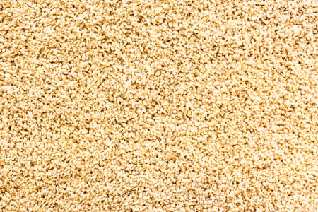 Texture background of the doormatの写真素材