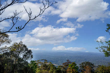 Beautiful scenery of the tropical rainforest at Khao Yai National Park in Thailandの写真素材