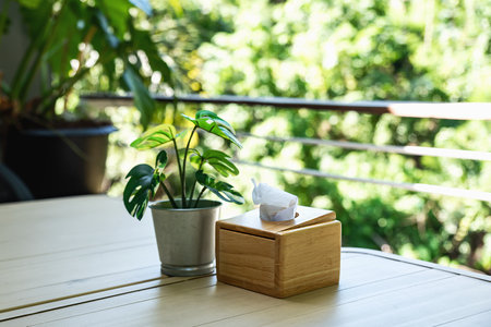 Wooden tissue boxes and plant pots or vases. with blurred backgroundの写真素材