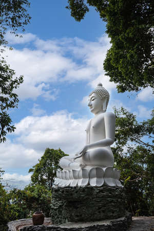 Thai Buddha statue under the shade of wood And the background is the skyの写真素材