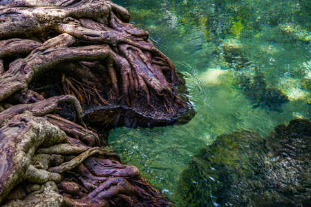 Khlong Nam Sai or Emerald Pool, Krabi Province, is a tourist attraction in Thailand.