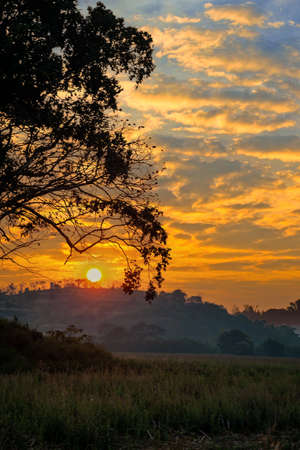 silhouette trees with beautiul sunset sky,nature backgroundの写真素材
