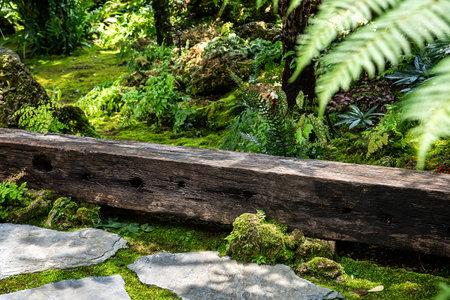 Logs, wooden chairs in a shady gardenの写真素材
