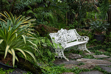 white iron bench in the backyard gardenの写真素材