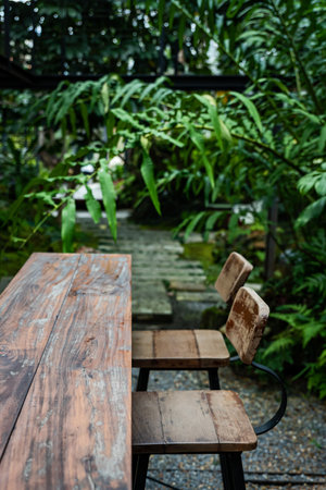 Black steel leg bench in palm garden to relaxの写真素材
