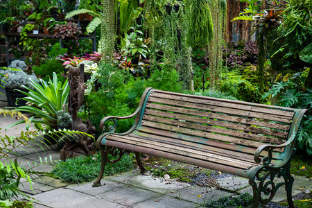 Old iron bench in the backyardの写真素材