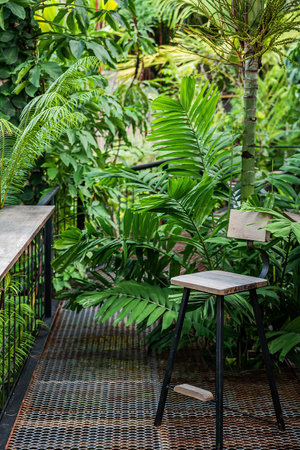 Black steel leg bench in palm garden to relaxの写真素材