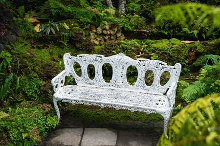 white iron bench in the backyard gardenの写真素材