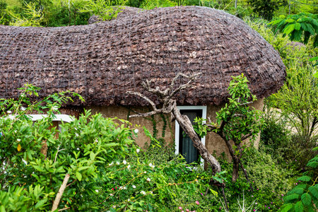 Leaf thatched house, imitation of old culture and construction technologyの写真素材