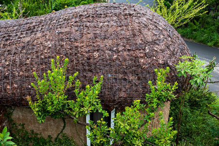 Leaf thatched house, imitation of old culture and construction technologyの写真素材