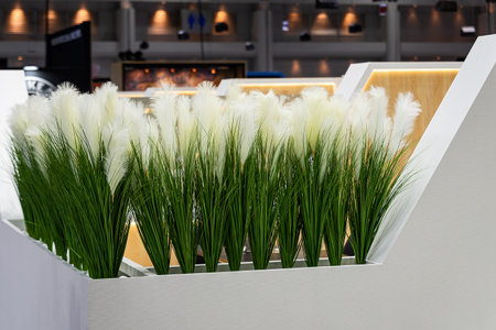 Green artificial grass for interior decoration Or use to divide the workroom.の写真素材