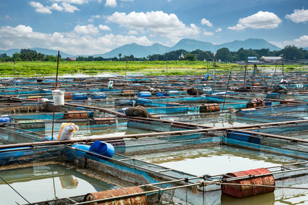 Fish farms in Thailandの写真素材