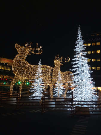 Reindeer scene in lightsの素材