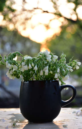 layout: white mug filled with flowers, imitation of flower teaの写真素材