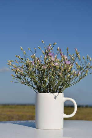 layout: white mug filled with flowers, imitation of flower tea.の写真素材