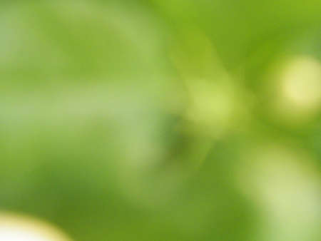 Abstract lightness nature background design,texture,green.の写真素材