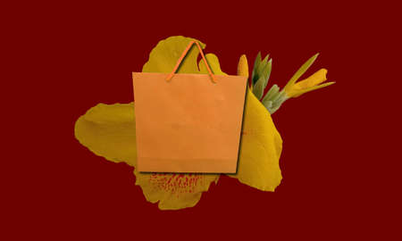 Design single brown paper bag on floral summer sale concept isolated  red background for design advertising product or stock photo, Department store, canna lily flower, green leafの写真素材