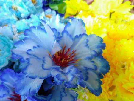Closeup, Beautiful blue flower blurred floral background for design stock photo, floral blossom blooming, tropical summerの写真素材