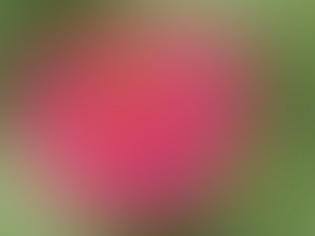 Top view, Abstract blurred pink green color painted texture background for graphic design.wallpaper, illustration, card, gradiant backdropの写真素材
