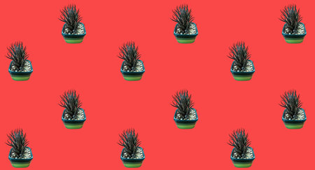Top view, Pattern set vase cactus flowers isolated on pure orange background for design stock photo...