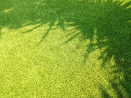 Top veiw, Abstract blurred artificult turf green seamless texture with shadow palm tree for design, grass feild background, stadium floor, sunlight dayの写真素材