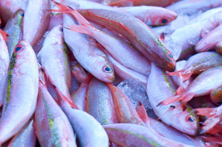 Red fish in a marketの写真素材