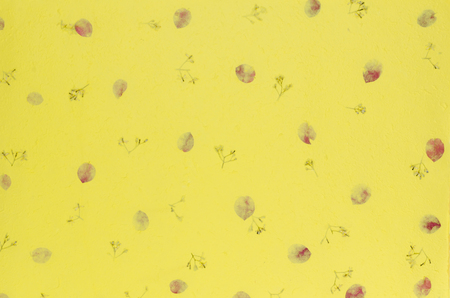 Mulberry paper texture backgroundの写真素材