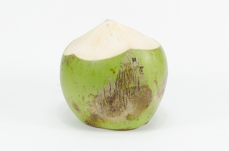 coconut on white backgroundの写真素材