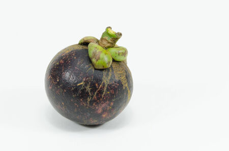 mangosteen on white backgroundの写真素材
