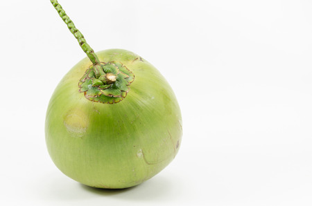 coconut on white backgroundの写真素材
