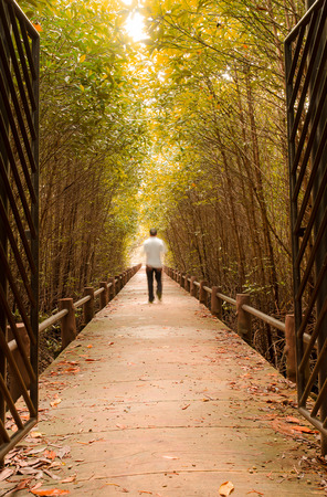 man walk in to forest の写真素材