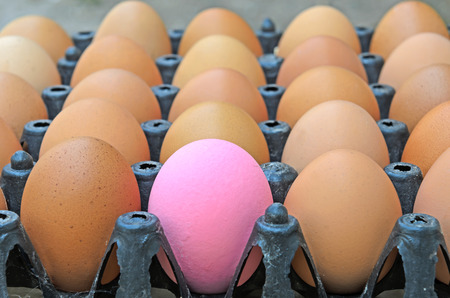 An pink egg is in the carton.の写真素材