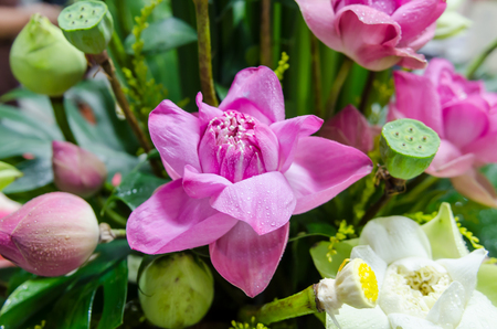 The bunch of lotus flowers are decoration for wedding ceremonyの写真素材