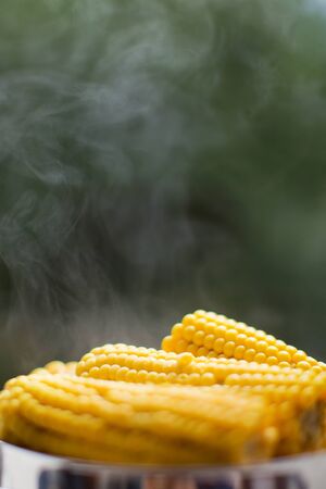 Hot boiled corn with steam in a metal bowl. Outdoor foodの写真素材