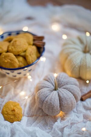 Tasty pumpkin cookies in a bowl with cinnamon, pumpkin decorations and lightsの写真素材