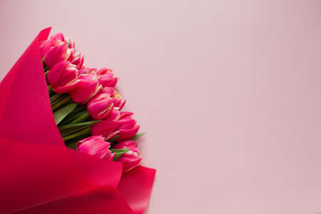 Bright bouquet of red tulips in wrapping paper on pink backgroundの写真素材