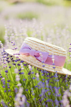 Straw hat with purple ribbon and bow laying on purple lavender flowersの写真素材