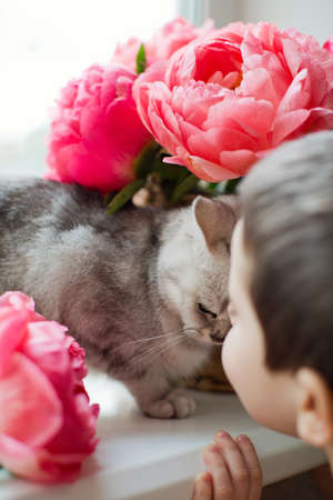 Gray cat and little boy near bouquet of coral peonies in wicker basketの写真素材